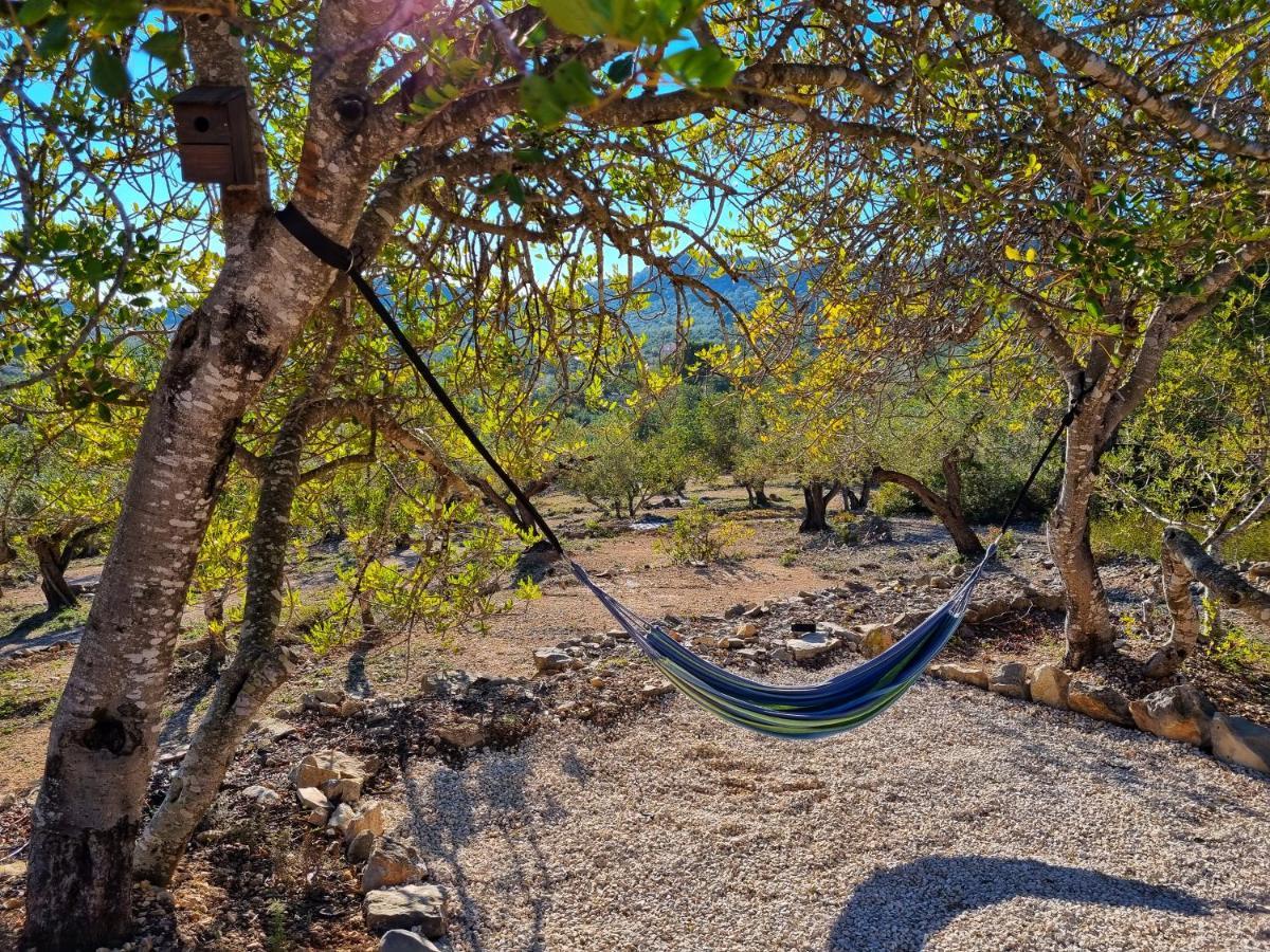 Finca Llambrich Л'Аметла де Мар Екстериор снимка