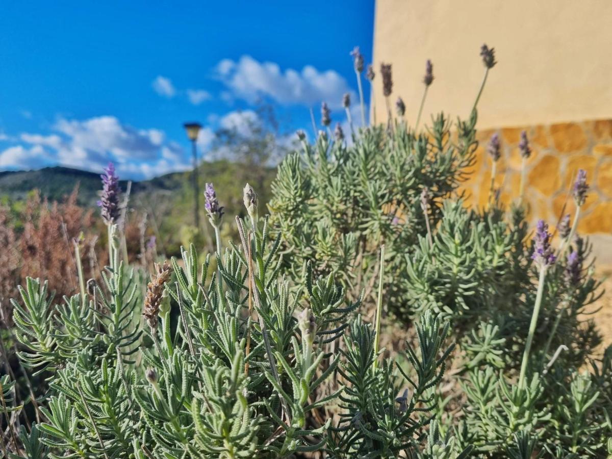 Finca Llambrich Л'Аметла де Мар Екстериор снимка