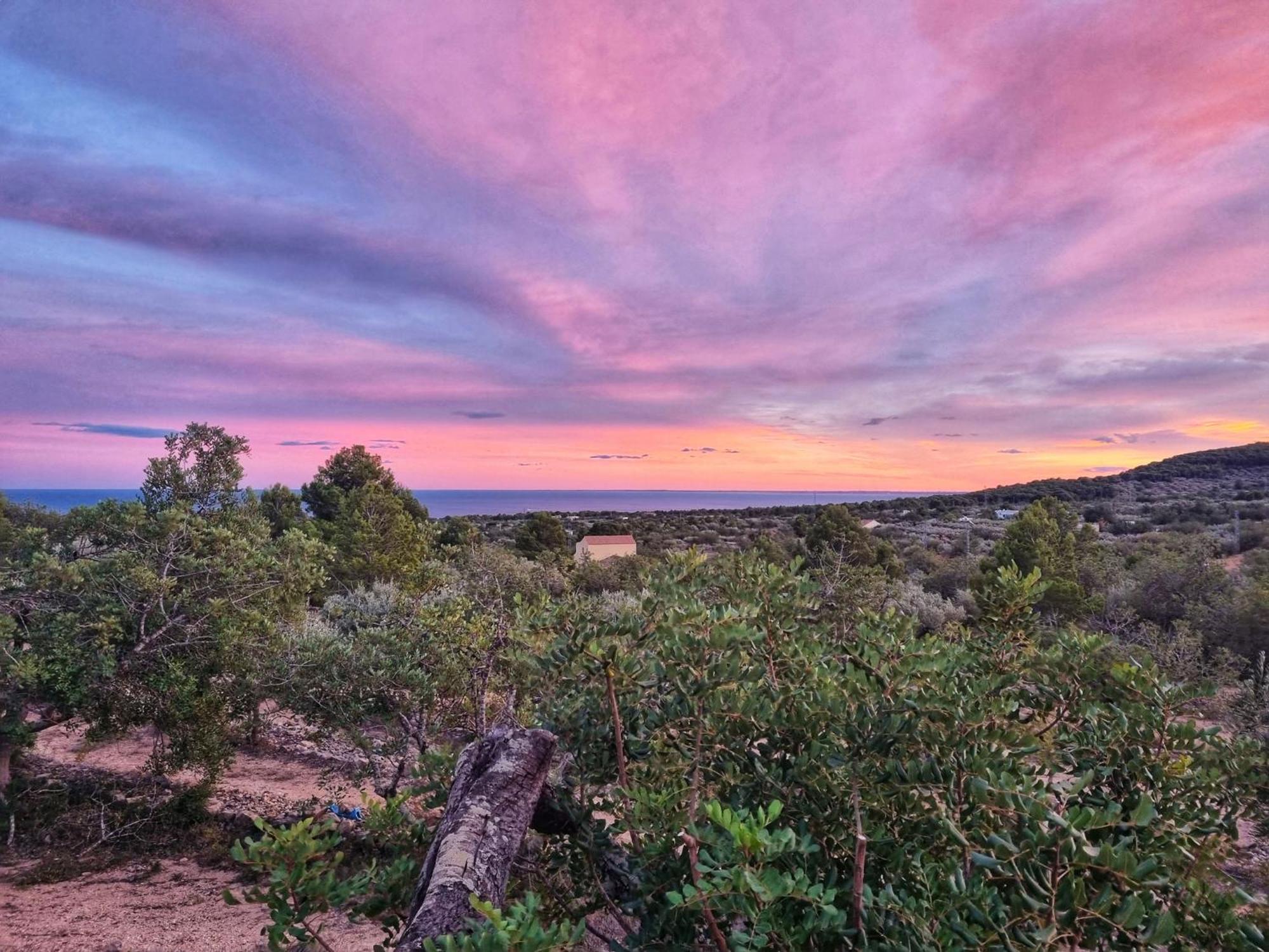 Finca Llambrich Л'Аметла де Мар Екстериор снимка