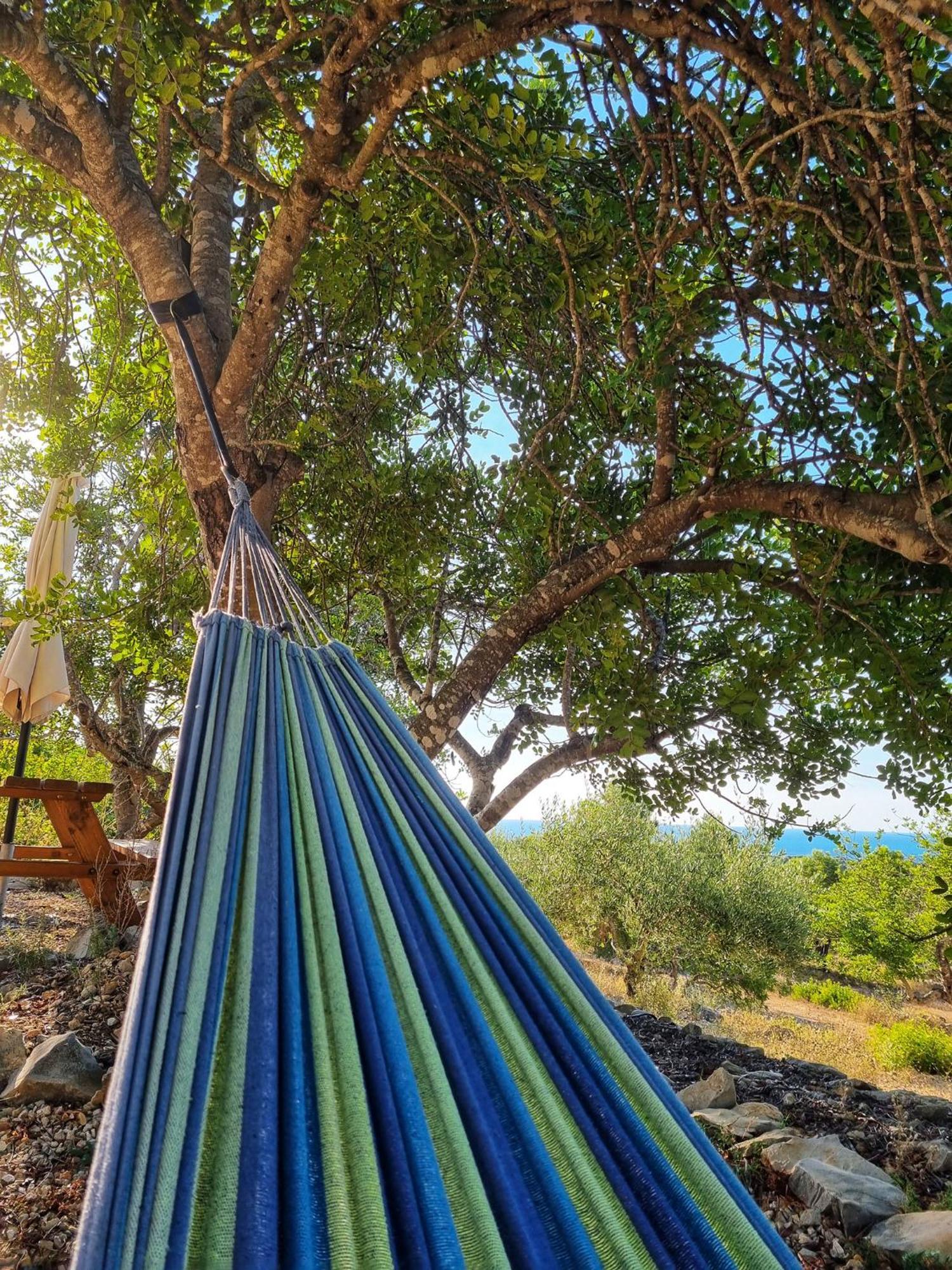 Finca Llambrich Л'Аметла де Мар Екстериор снимка