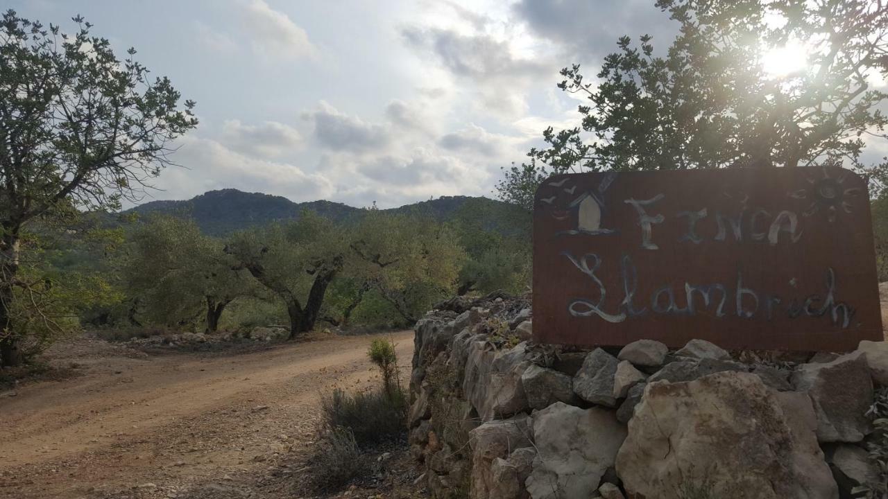 Finca Llambrich Л'Аметла де Мар Екстериор снимка