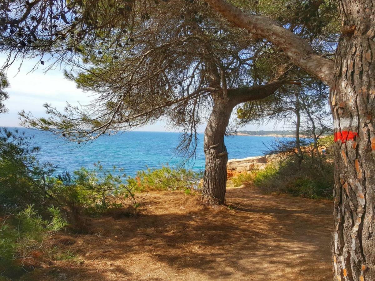 Finca Llambrich Л'Аметла де Мар Екстериор снимка